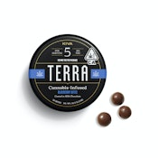 TERRA BITES MILK CHOCOLETE BLUEBERRIES